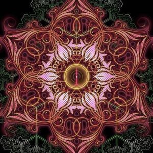 Meet your Posher, Mizelle